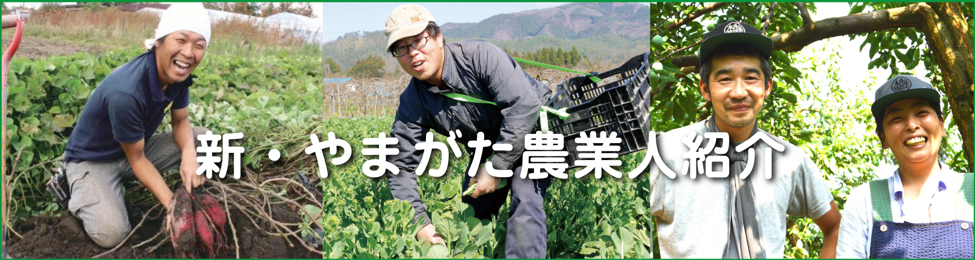 「新・やまがた農業人」紹介