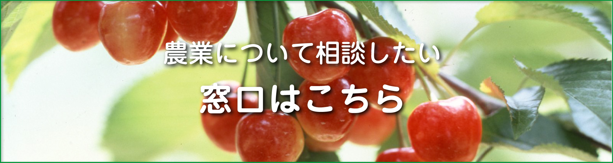 農業について相談したい窓口はこちら