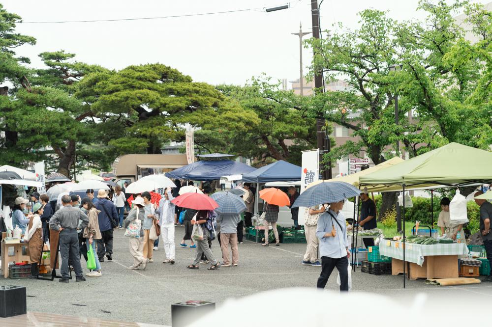 ¤³¤ó¤Ê¼èÁȤߡ¢±þ±ç¤·¤Æ¤Þ¤¹¡ª¡¡â£±