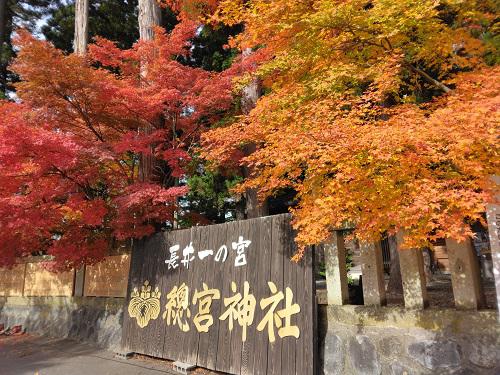 《バラ庭》つれづれ〜・・長井一の宮、總宮神社の紅葉を今年も〜/