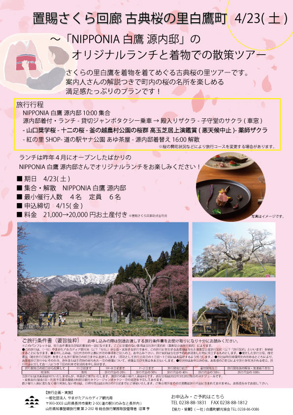 しらたか古典桜の里　さくら散策ツアー：画像