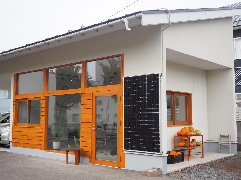 Ÿ���츫�ؤΤ����⡧����