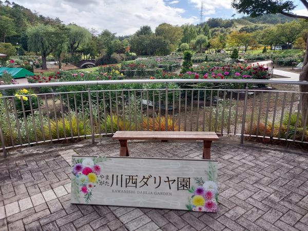 本日９月２１日川西ダリヤ園再開しました。