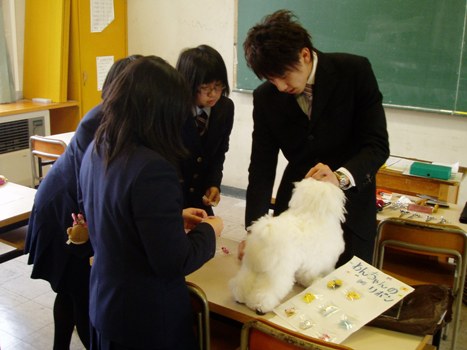 ̿ưʪʬ콤ع˾Ԥζ/