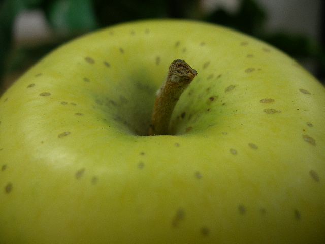 岩手県花巻産《きおう》緑黄色りんご：画像