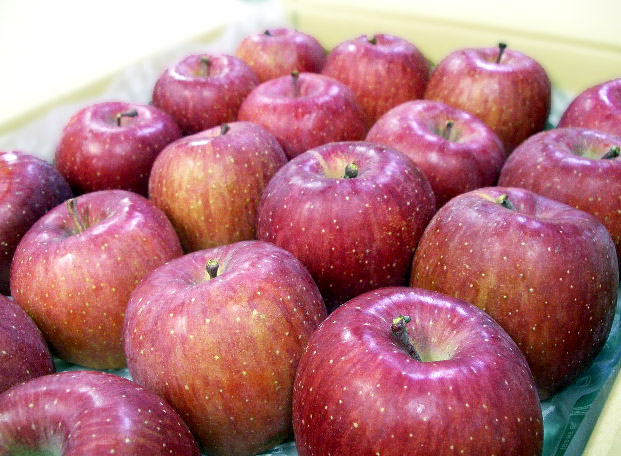 ふじりんご食べ比べbox/上位4産地5種類の味くらべ：画像