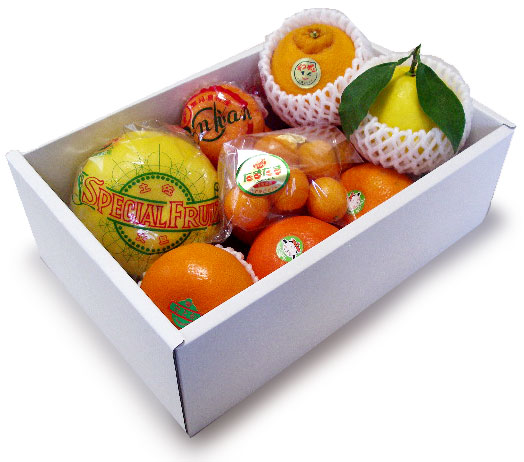 柑橘食べ比べbox/本場かんきつ8種夢の競演：画像