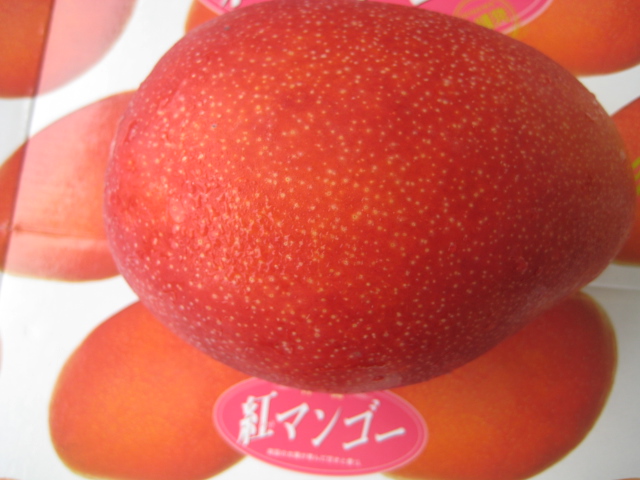 沖縄県産《紅マンゴ》元祖国産マンゴー：画像