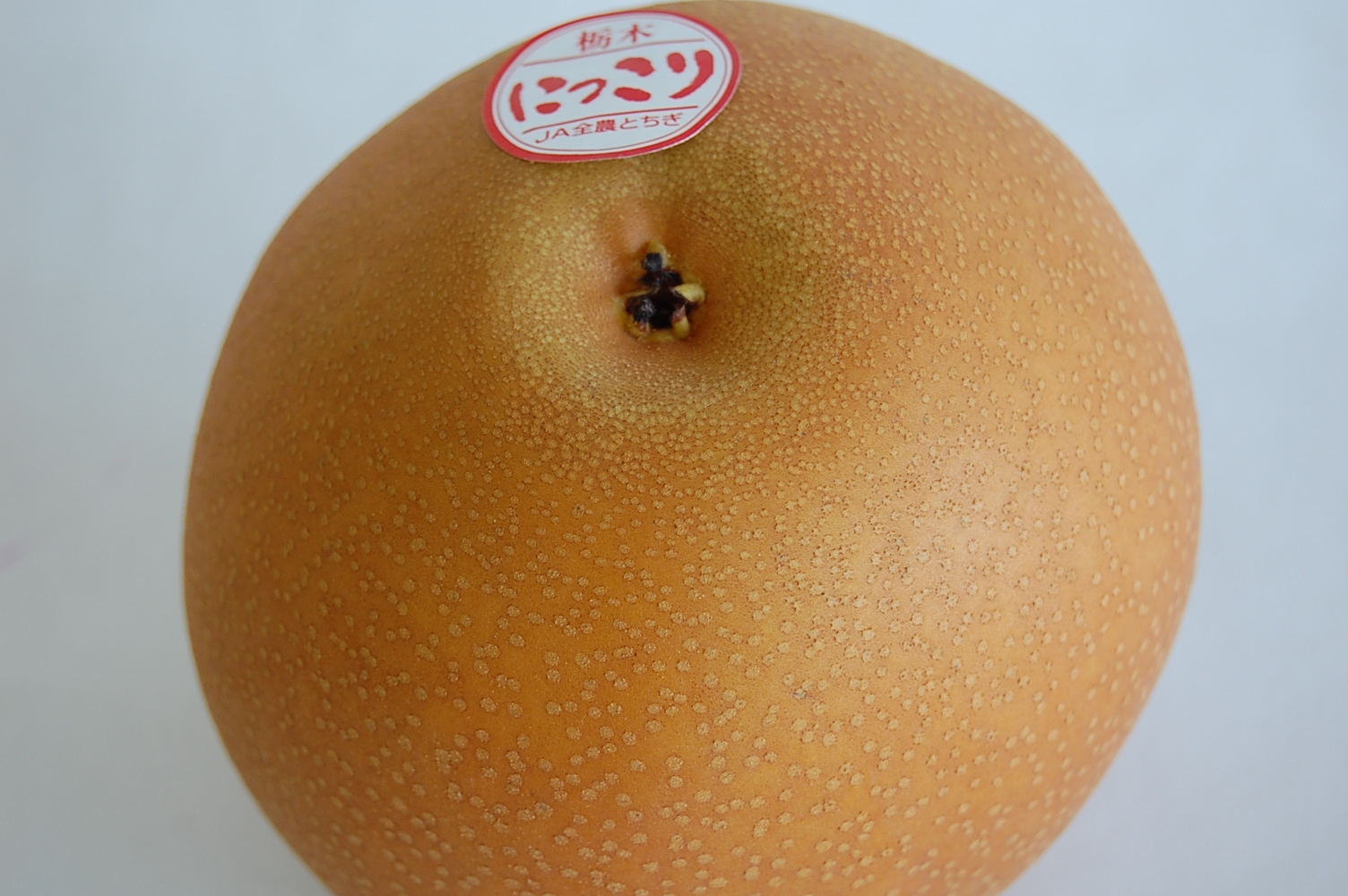 栃木県産《にっこり梨》秋から冬に味わえる梨：画像