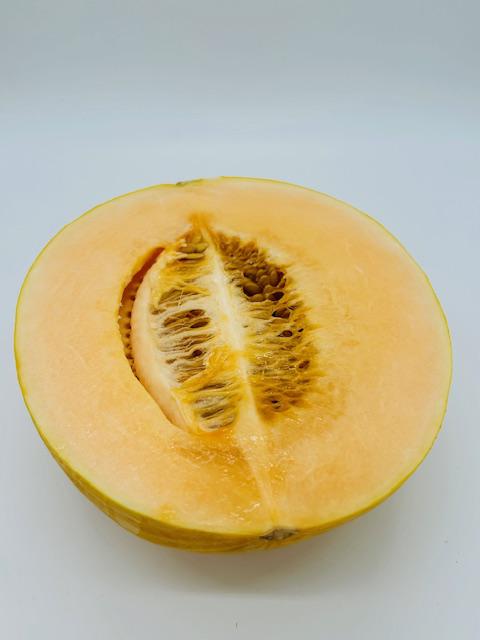 【にこにこフルーツ大事典】オレンジキャンディメロン：画像