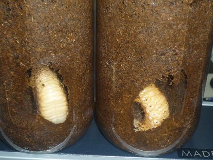 さらに3時間後。/