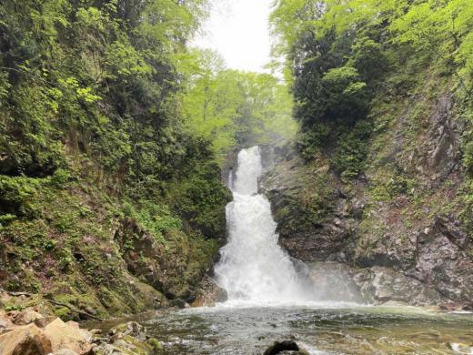 The Path to Shirabu Falls has Reopened!한국어・简体中文/