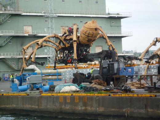 ホントだ! でも/