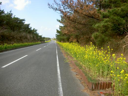 お〜 たまおちゃん/
