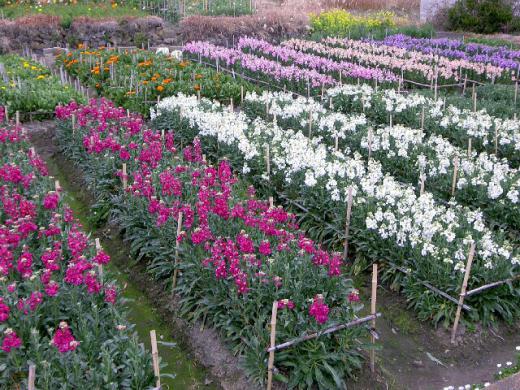 ほんの気持ちですが・・・/