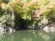 長井ダム周辺紅葉情報(10/23):2015/10/23 17:23