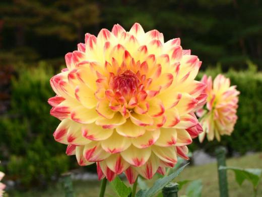 ¡Ø¥Õ¥¡¥ó¥Õ¥§¥¢¡¼¡Ù/