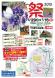山辺町ラベンダー祭２０１３の開催について：2013/06/12 15:52