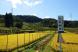 大蕨の棚田【9月19日現在】:2018/09/19 11:42