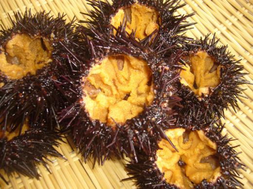 はい、出ました〜!!(笑)/