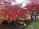 烏帽子山の紅葉:2022/11/15 15:27