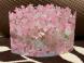 春:2023/02/23 08:28