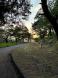 夕暮れ:2024/06/12 12:48