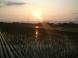 夕日の景色に思う:2012/06/14 18:57