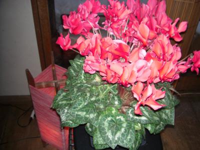 かがり火花 おきたまジェーピー 置賜観光情報ポータルサイト かがり火花 おきたまジェーピー 置賜観光情報ポータルサイト