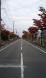 沿道は、すっかり紅葉です。:2009/10/24 09:11