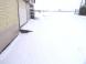 久しぶりの雪!:2013/02/10 10:48