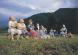 次回の展覧会は、あの人形達が再び・・・・・:2008/05/28 10:43