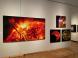 企画展「138億光年 宇宙の旅」展示紹介:2021/02/23 13:45