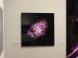 企画展「138億光年 宇宙の旅」展示紹介:2021/03/10 09:22