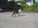 思いだしながら・・・:2015/06/02 06:46