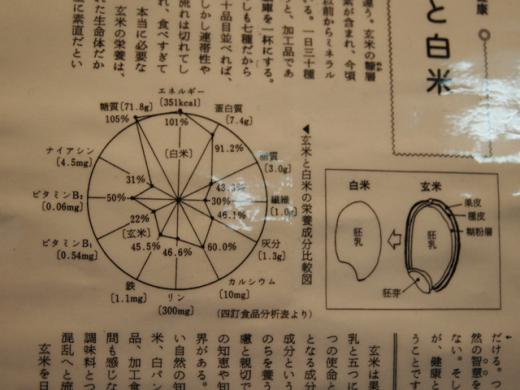 玄米の栄養価/