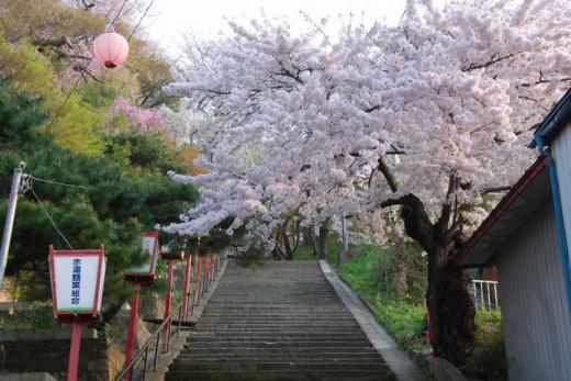 コメントありがとう/