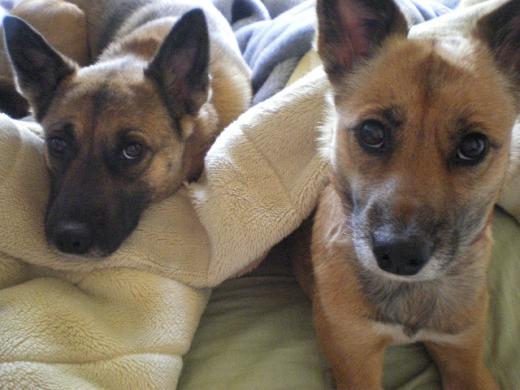 お〜樹氷だ〜!/