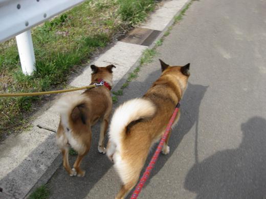 良かったぁ〜!/