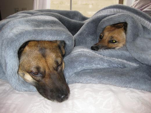 そうだよねぇ〜/