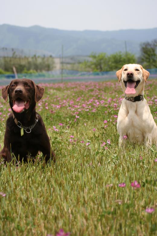 お世話になりました♪/