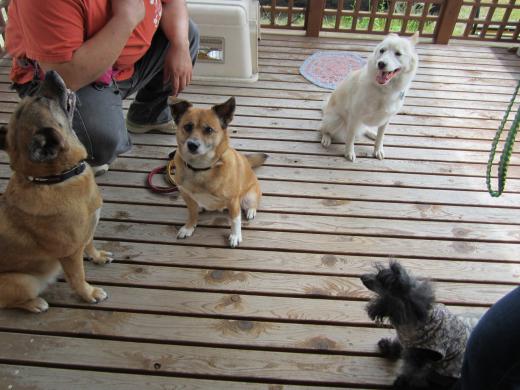 ありがとうございました!/