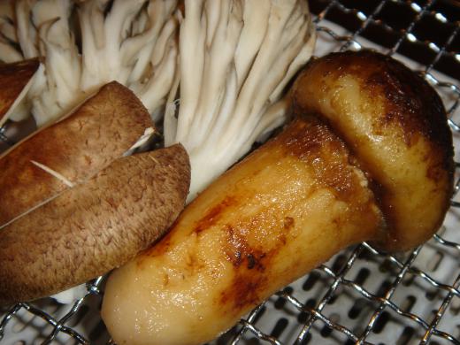 秋の食材はこれ、「まつたけ」/