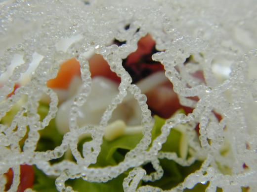 ○ま○らサラダ/