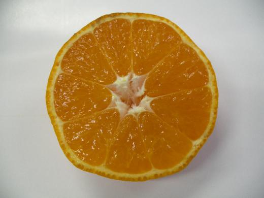 実がしっかりしています。/