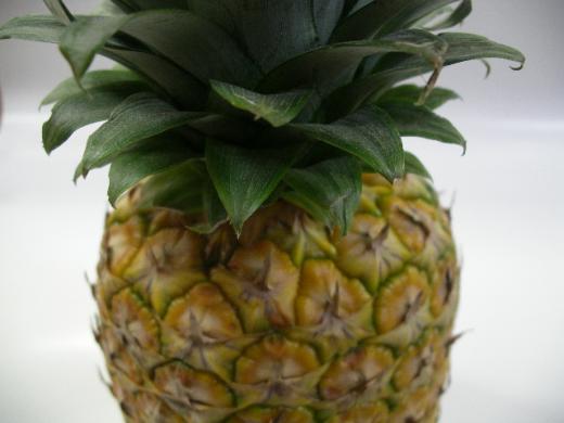 ビタミンB1や繊維質が豊富/