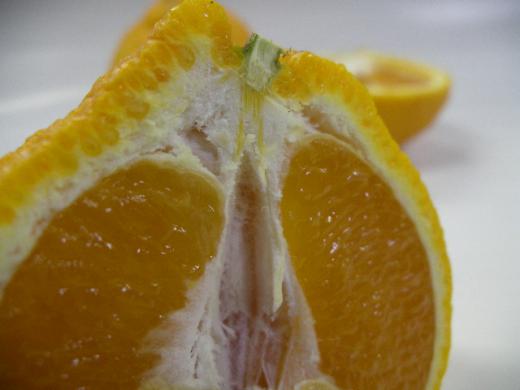 デコポンは皮を手でとっても簡単にむくことができます/