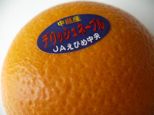 オレンジ好きにはたまらないデリッシュネーブル/