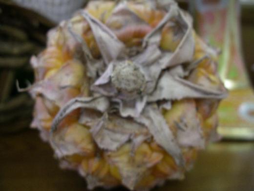 スナックパインのおしりです。/