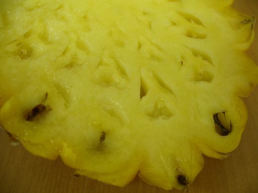 スナックパインの断面図?!/